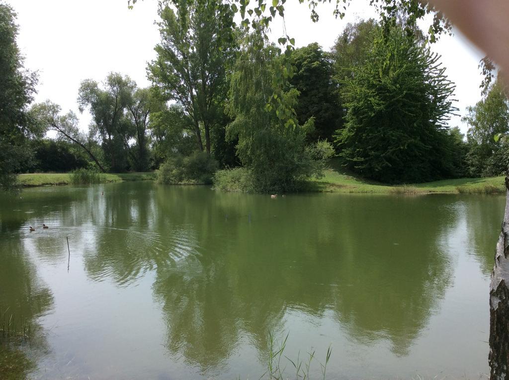Camping Du Ried Boofzheim エクステリア 写真